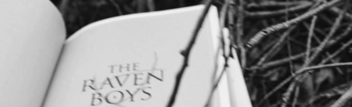 Review: The Raven Boys / Maggie&nbsp;Stiefvater