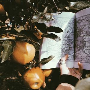 Processed with VSCO with p5 preset