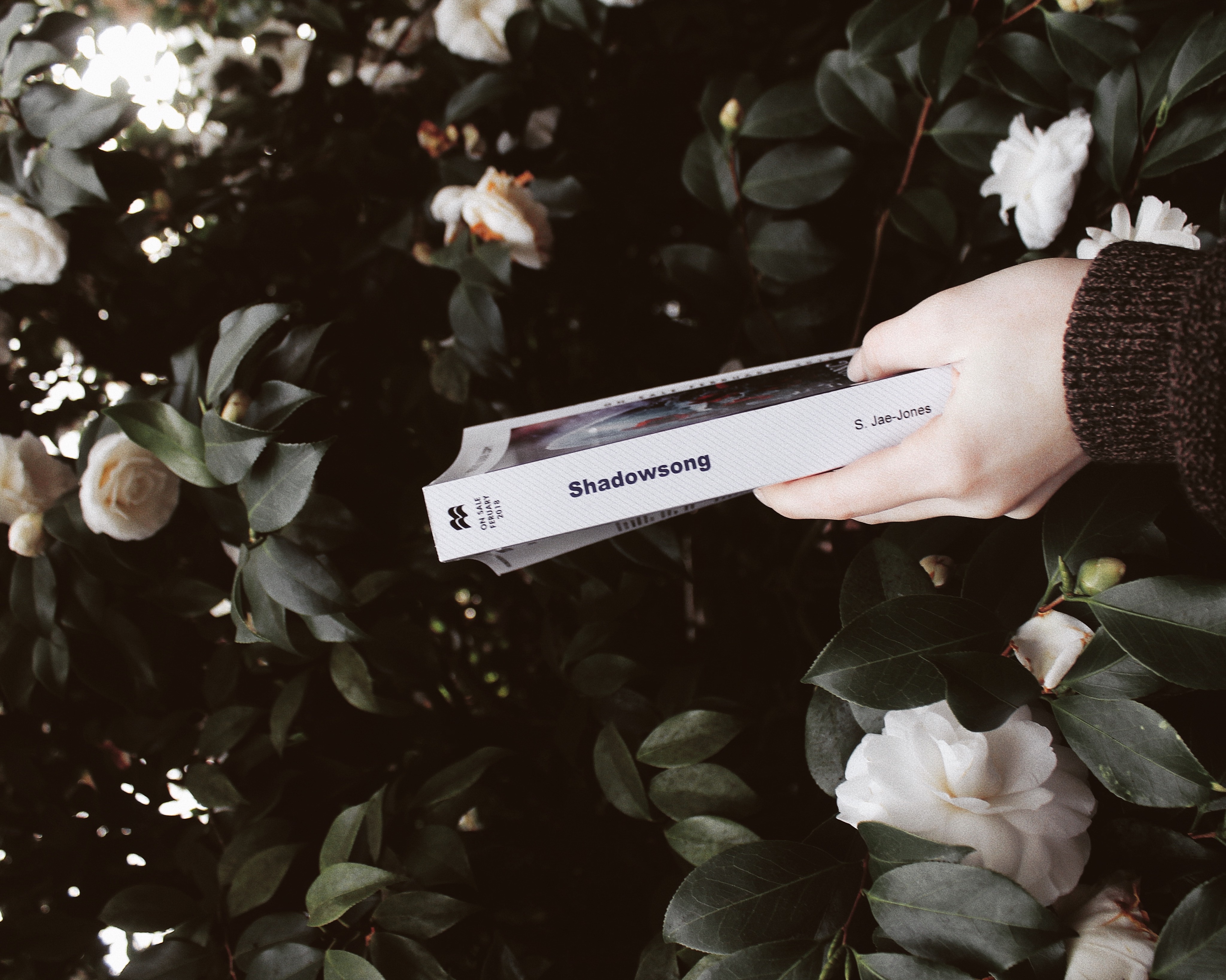 Processed with VSCO with a6 preset