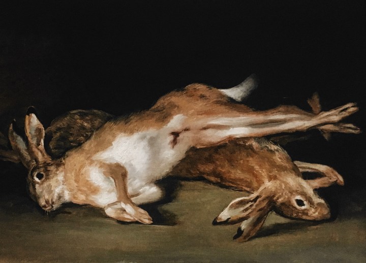 a24 films as&nbsp;books